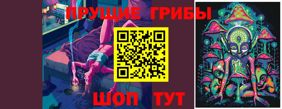 Псилоцибиновые грибы Psilocybine cubensis Асино