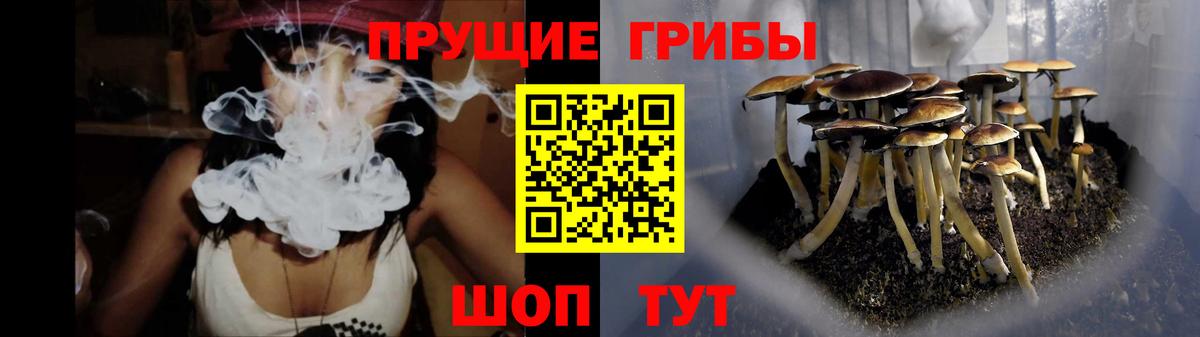 Асино  Галлюциногенные грибы Psilocybe  Галлюциногенные грибы мицелий  где найти наркотики  Вход с VPN 